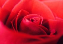 texte pour 2 mois de relation amoureuse