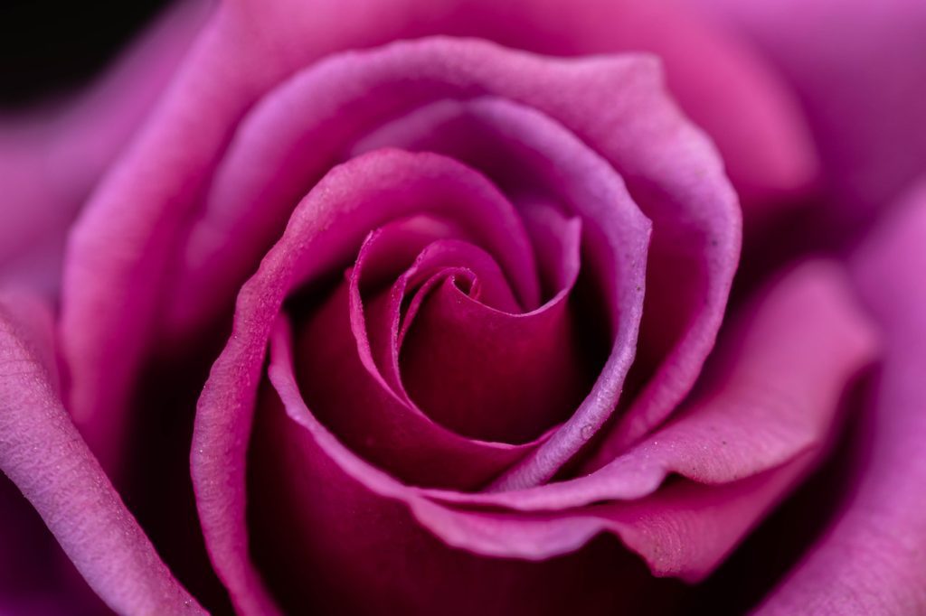 50 SMS pour dire je pense à toi mon amour questions à poser